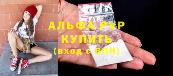 индика Ладушкин