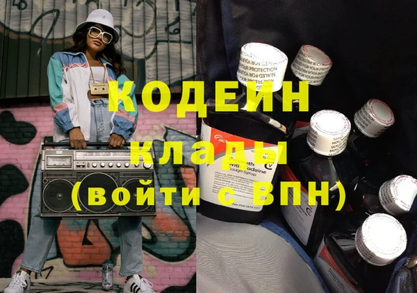 индика Ладушкин