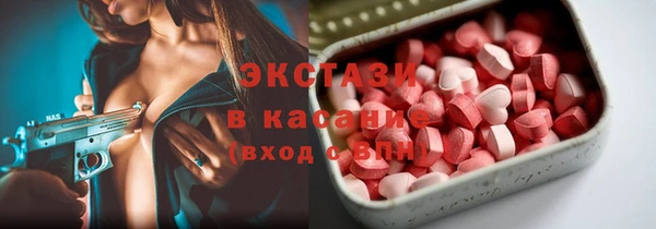 индика Ладушкин