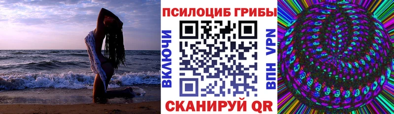 Купить где  Нерехта  Галлюциногенные грибы Magic Shrooms 